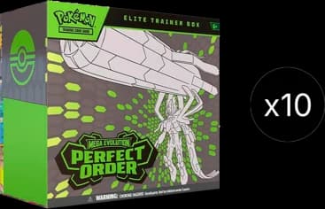 Perfect Order Elite Trainer Box Case