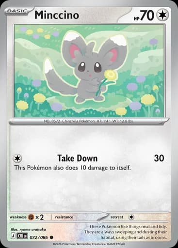 Minccino