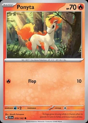 Ponyta