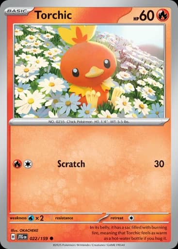 Torchic