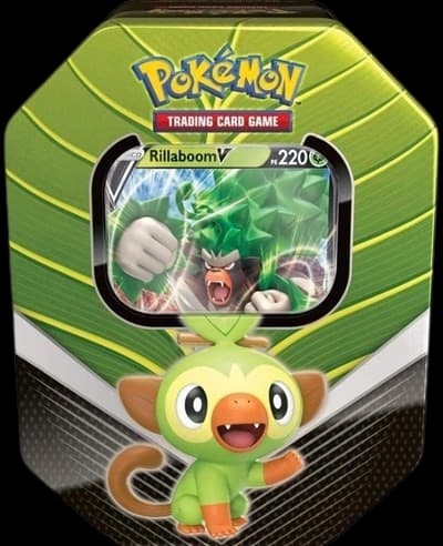 Sword & Shield Galar Partners International Tin - Rillaboom V – Tin