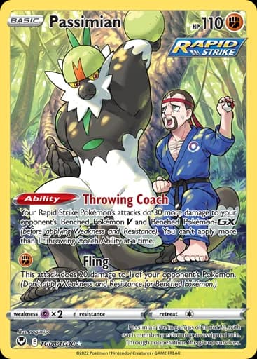 Passimian #TG08/TG30 Pokémon card