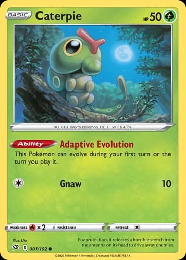 Caterpie