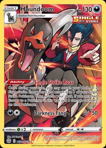 Houndoom #TG10/TG30 Pokémon card