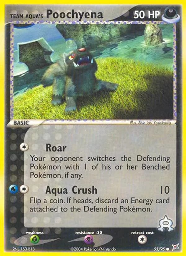 Team Aqua's Poochyena
